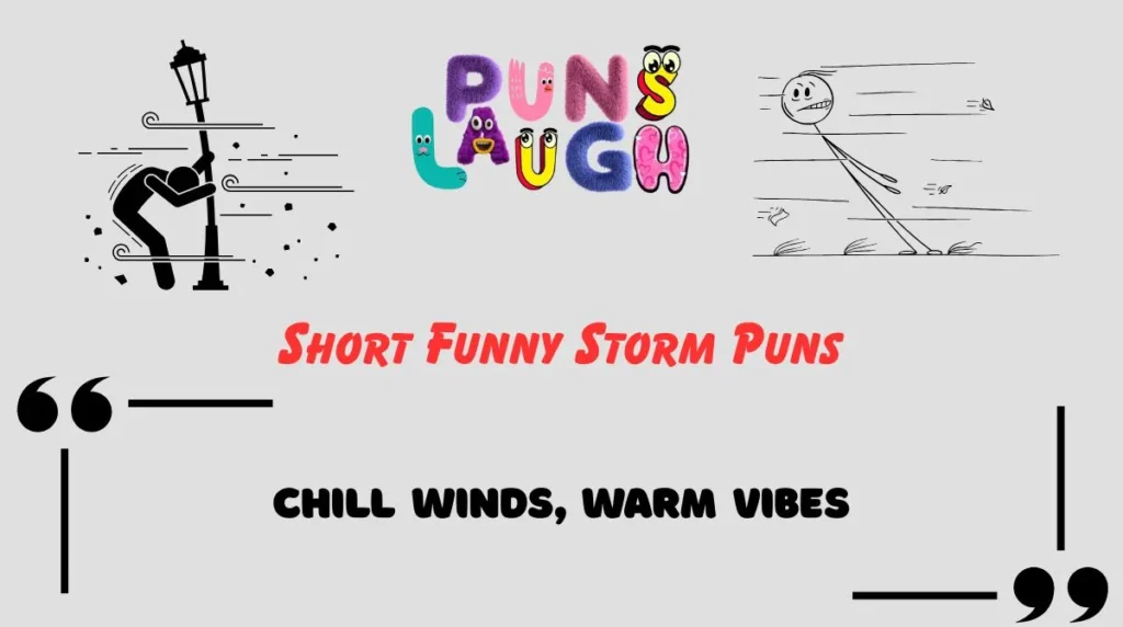 Short Funny Storm Puns