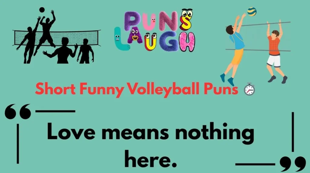 Short Funny Volleyball Puns