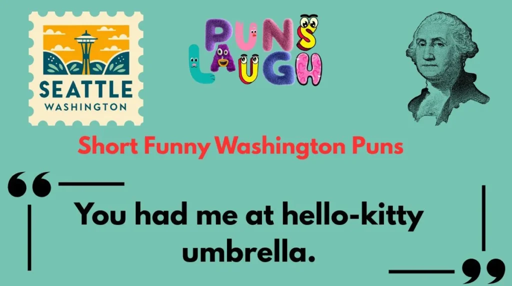 Short Funny Washington Puns