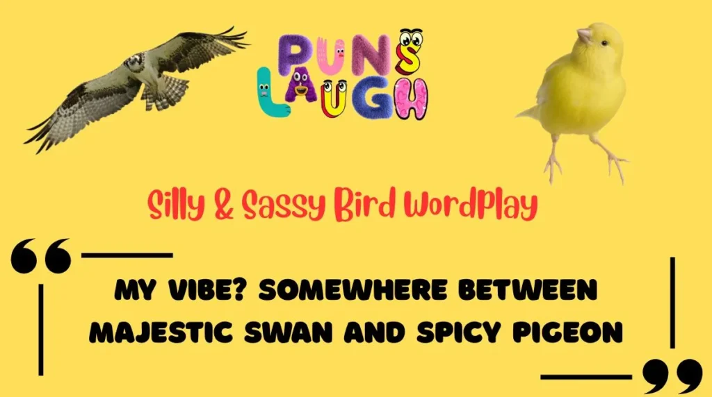 Silly & Sassy Bird Wordplay