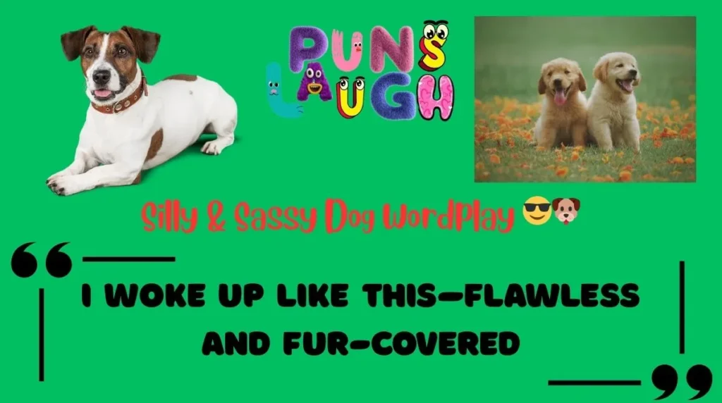 Silly & Sassy Dog Wordplay