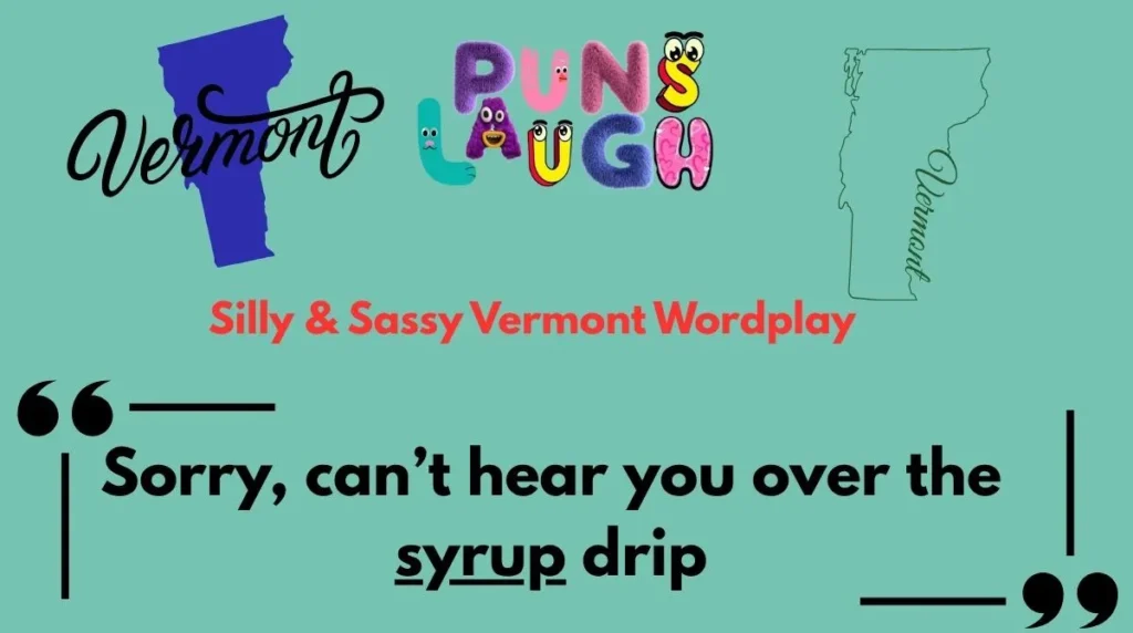 Silly & Sassy Vermont Wordplay