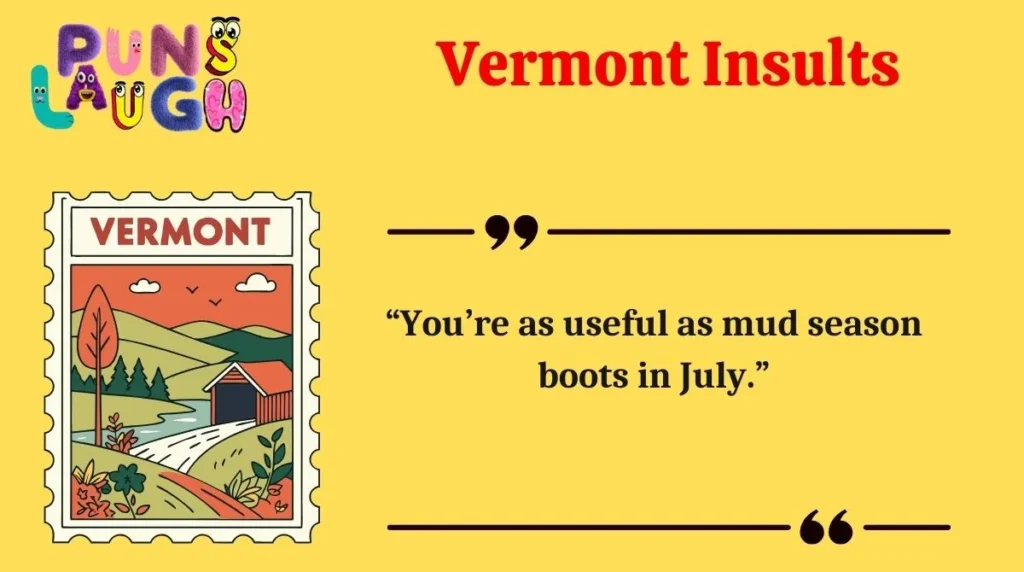 Vermont Insults