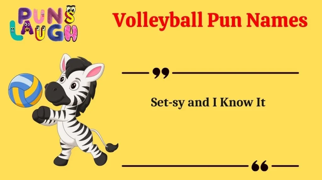 Volleyball Pun Names