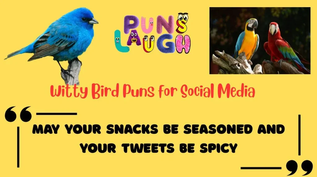Witty Bird Puns for Social Media