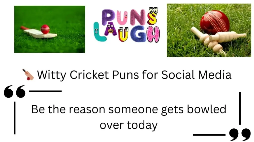  Witty Cricket Puns for Social Media