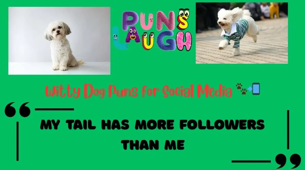 Witty Dog Puns for Social Media
