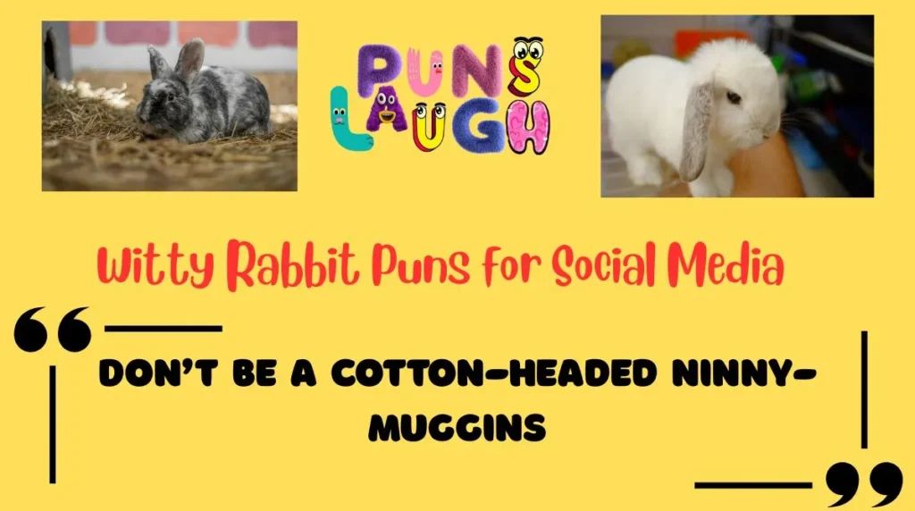 Witty Rabbit Puns for Social Media