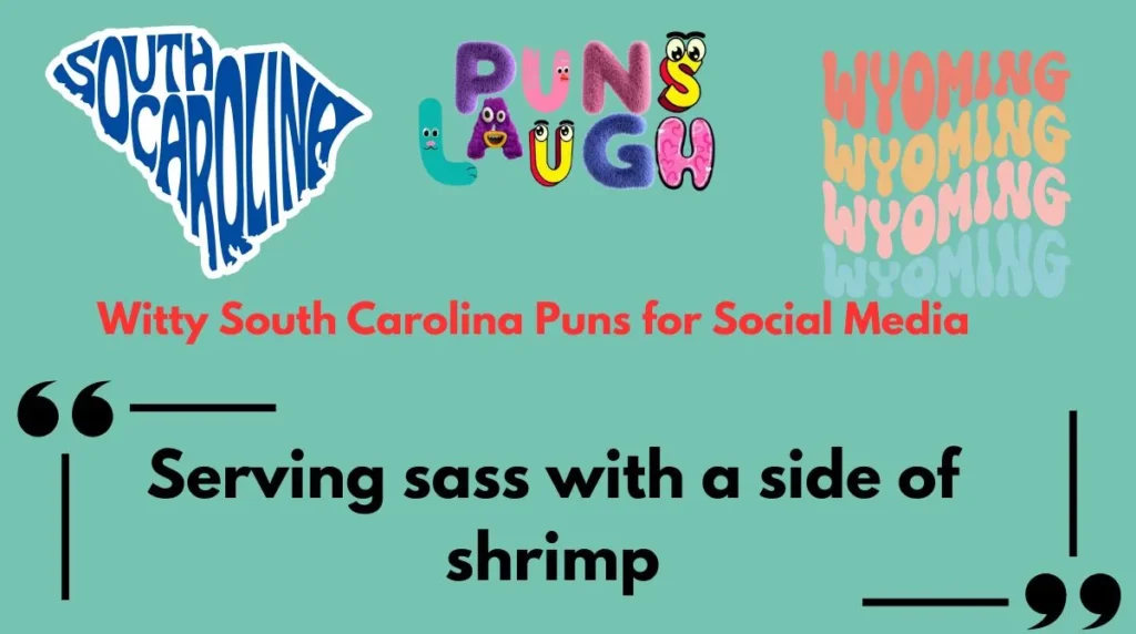 Witty South Carolina Puns for Social Media