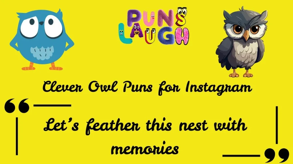 Clever Owl Puns for Instagram