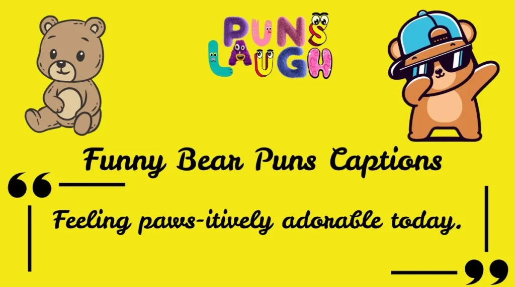 Funny Bear Puns Captions
