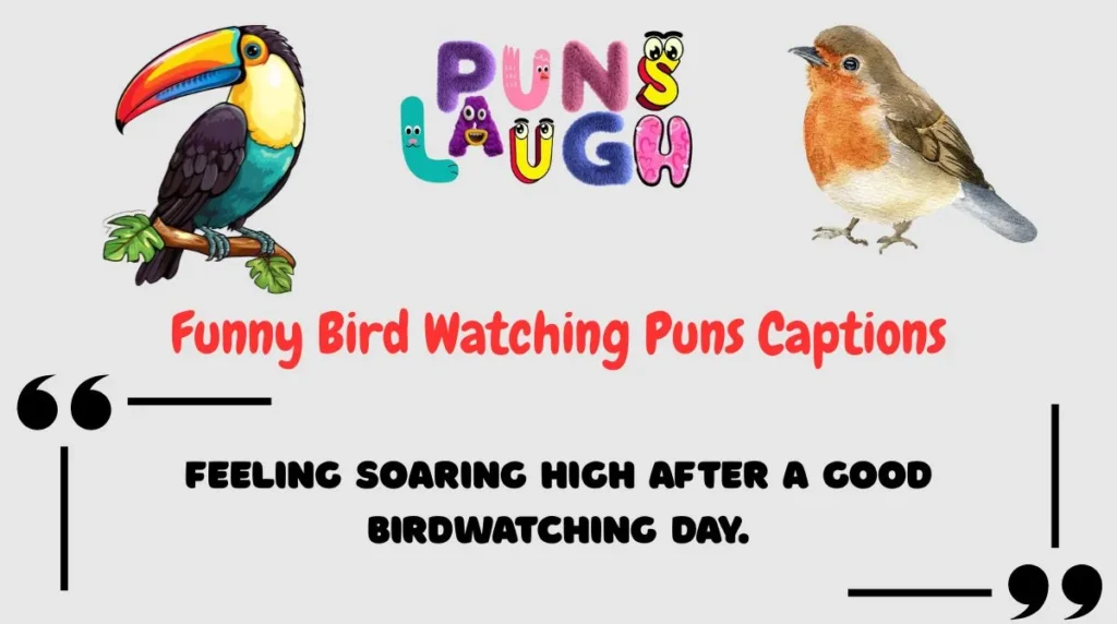 Funny Bird Watching Puns Captions