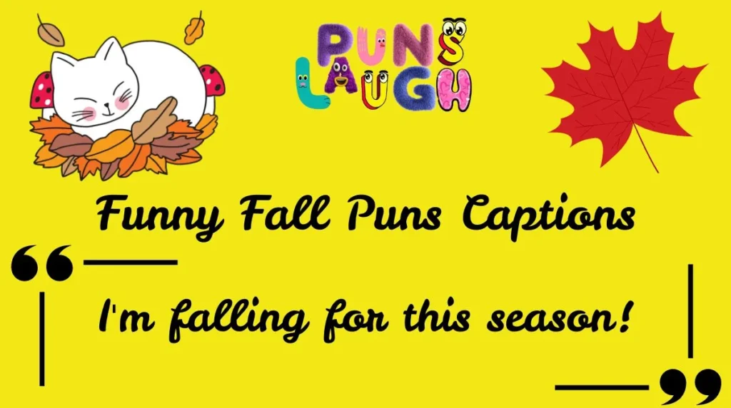 Funny Fall Puns Captions