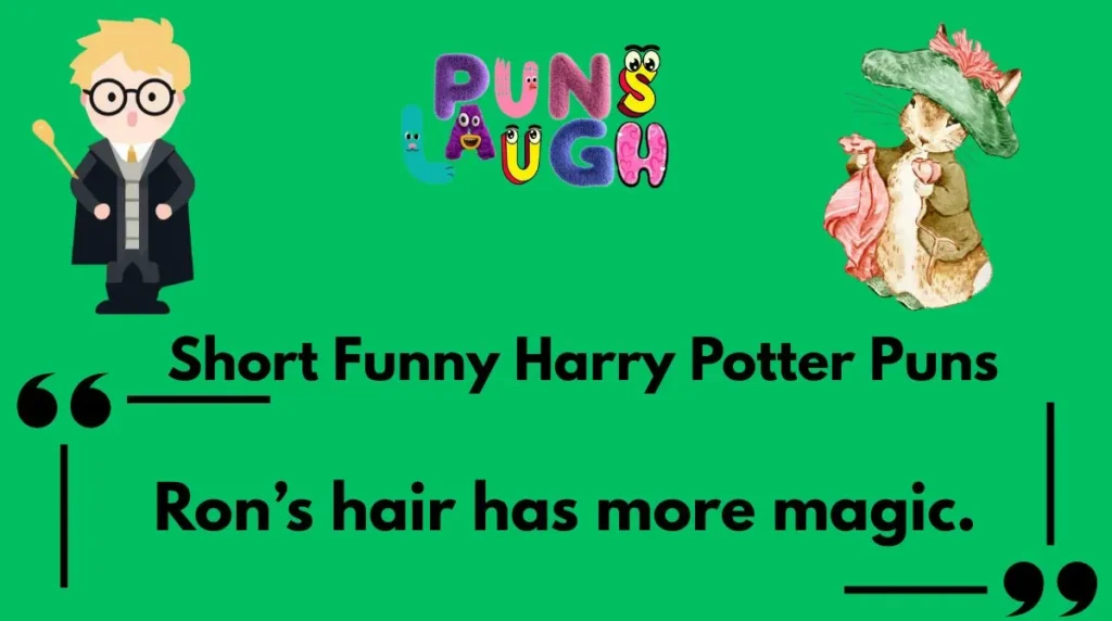 Short Funny Harry Potter Puns
