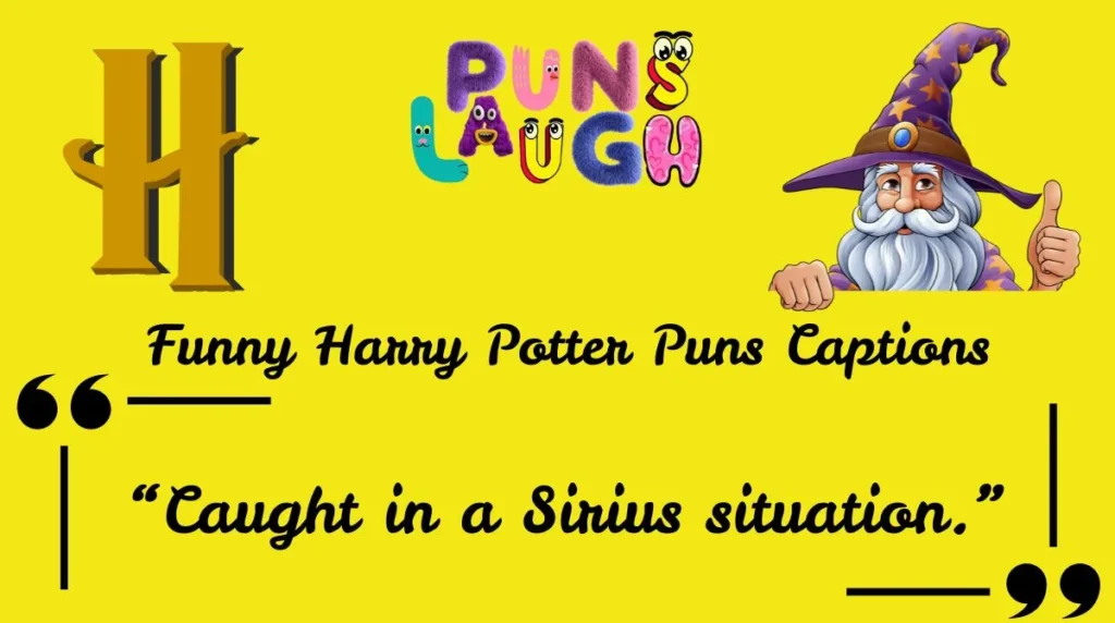 Funny Harry Potter Puns Captions