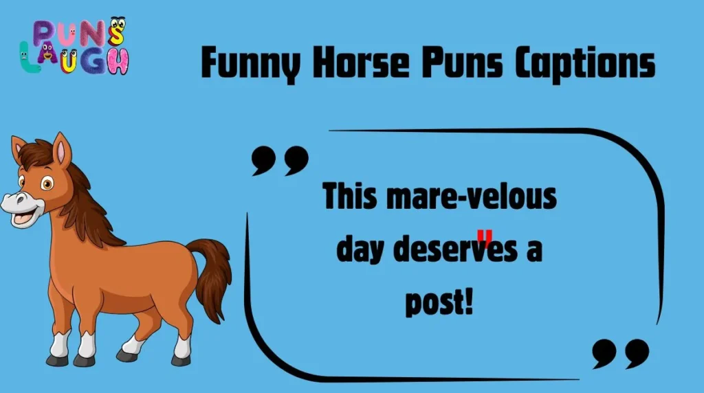 Funny Horse Puns Captions