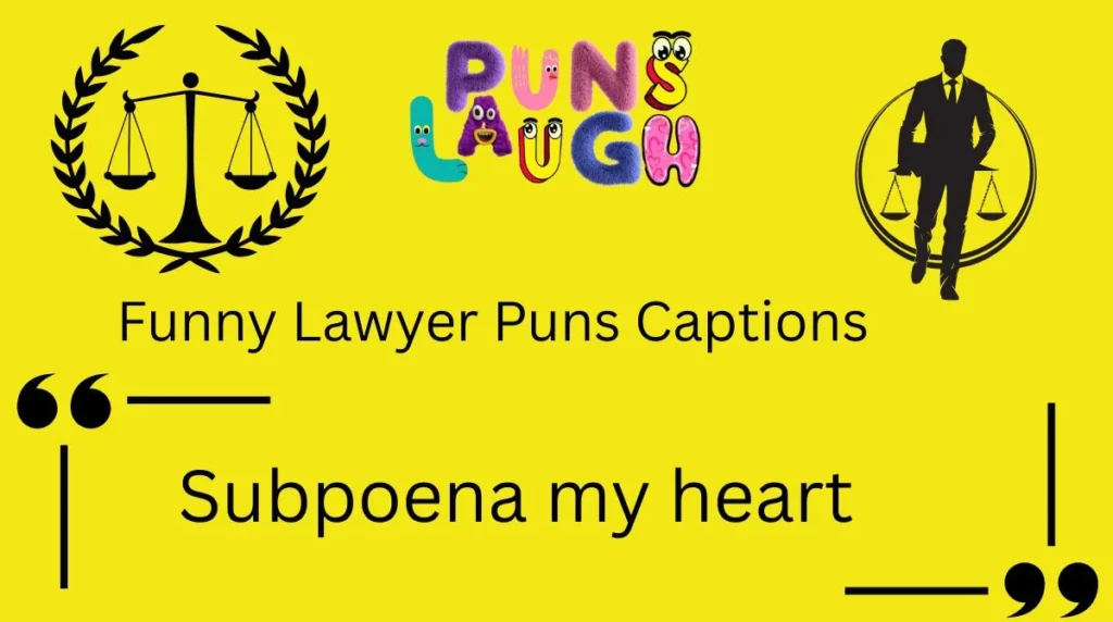 Funny Lawyer Puns Captions