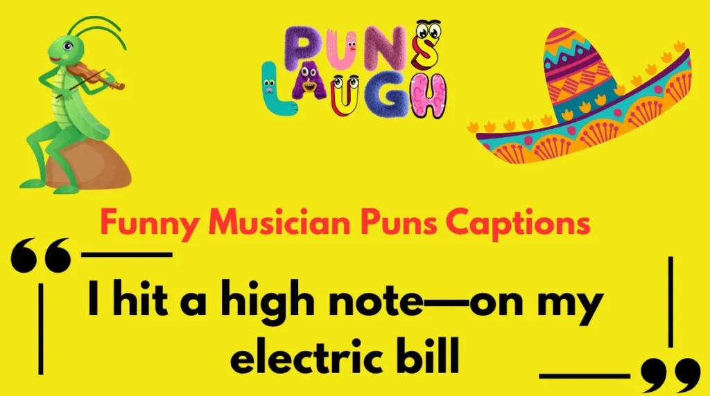 Funny Musician Puns Captions