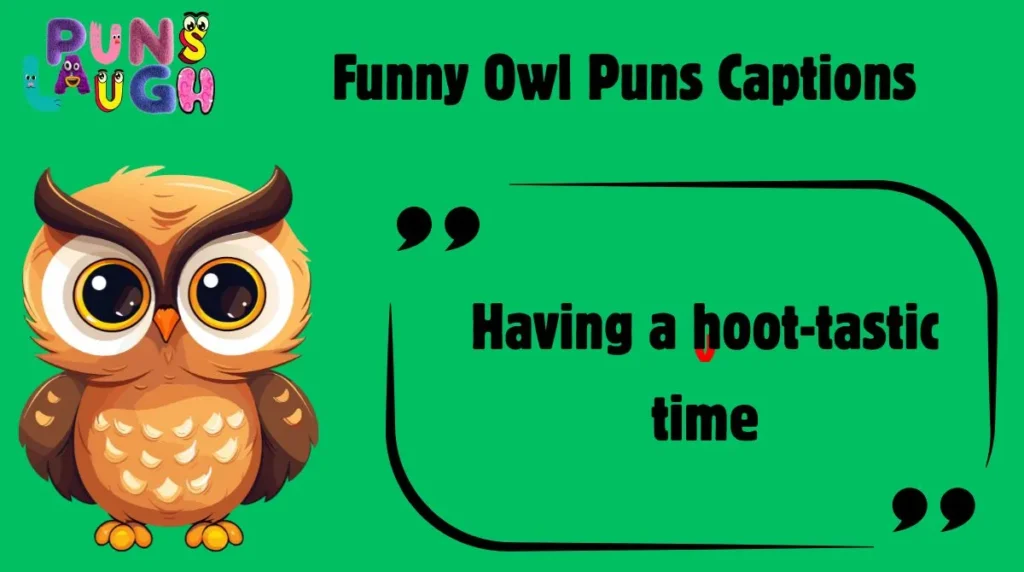 Funny Owl Puns Captions