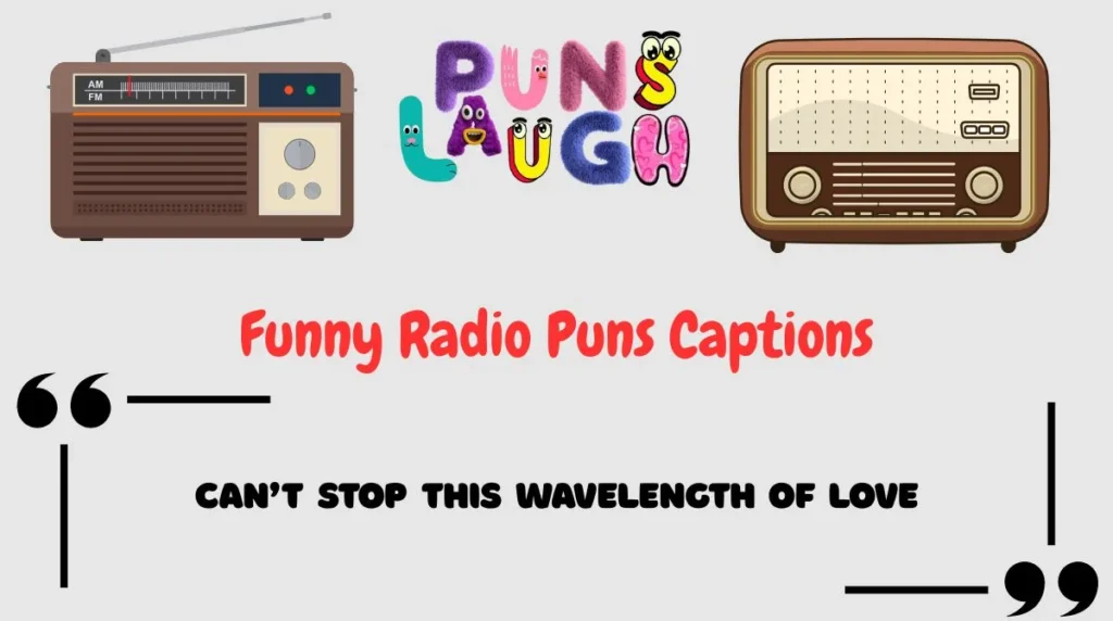Funny Radio Puns Captions