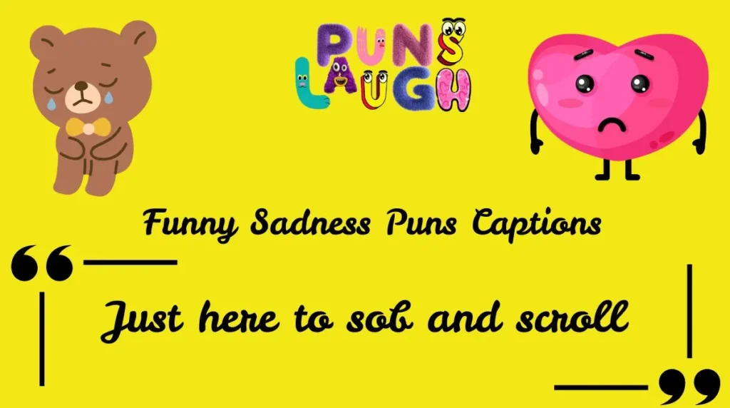 Funny Sadness Puns Captions