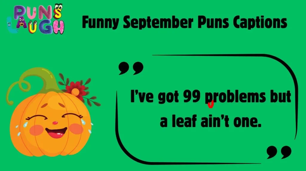 Funny September Puns Captions 