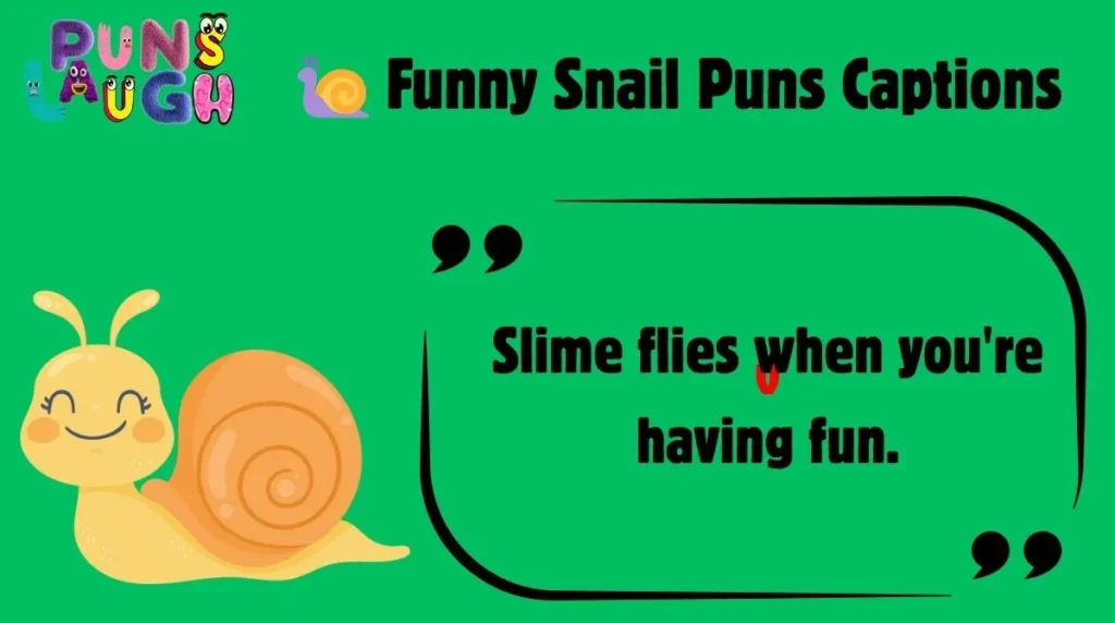  Funny Snail Puns Captions