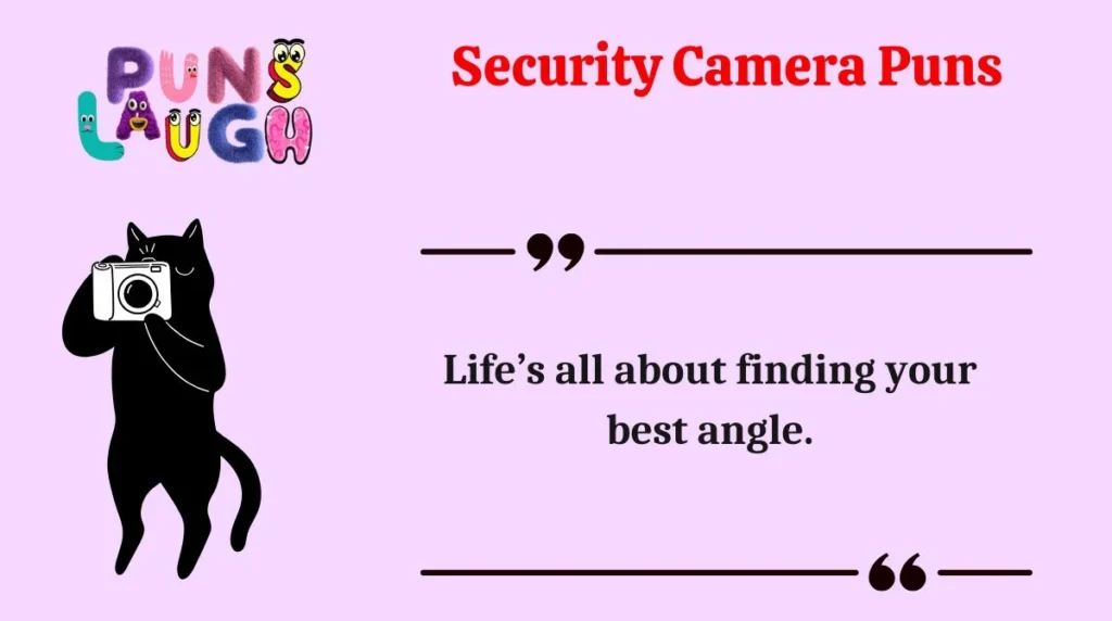 Security Camera Puns
