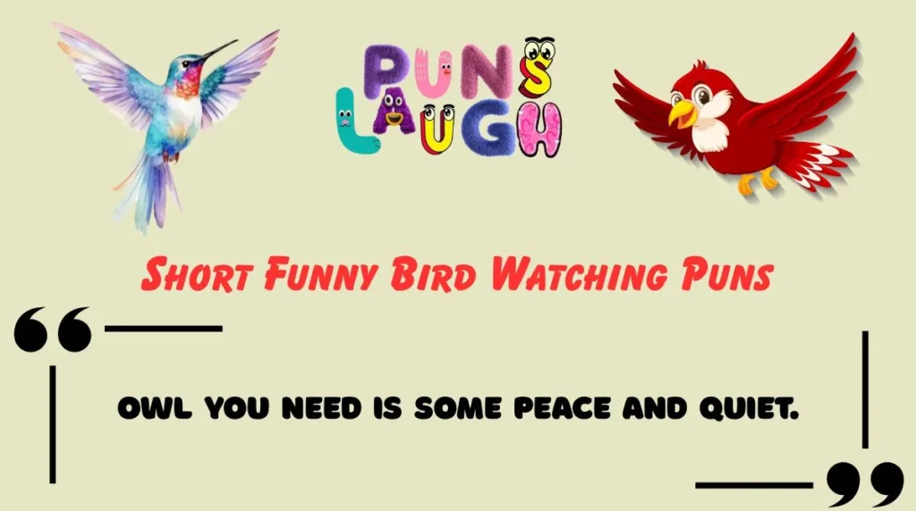 Short Funny Bird Watching Puns