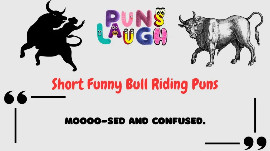 Short Funny Bull Riding Puns