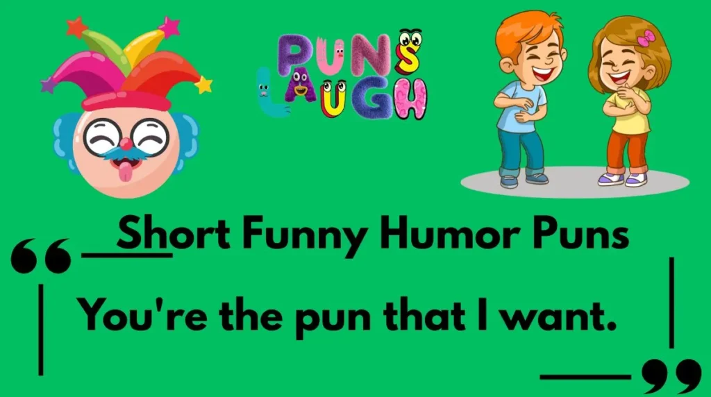 Short Funny Humor Puns