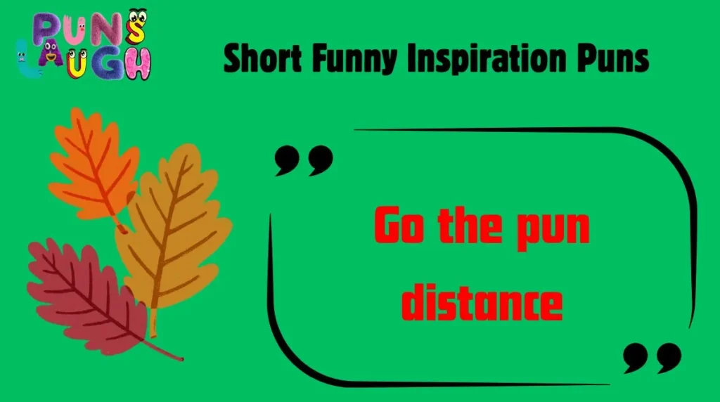 Short Funny Inspiration Puns