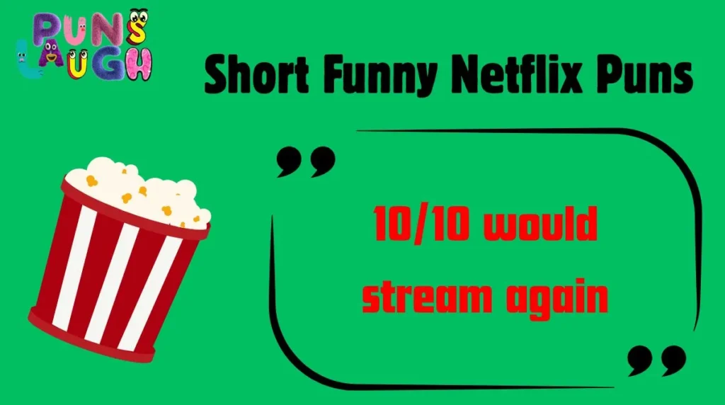 Short Funny Netflix Puns