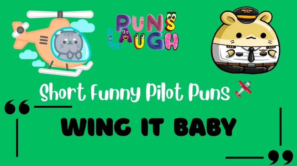 Short Funny Pilot Puns 