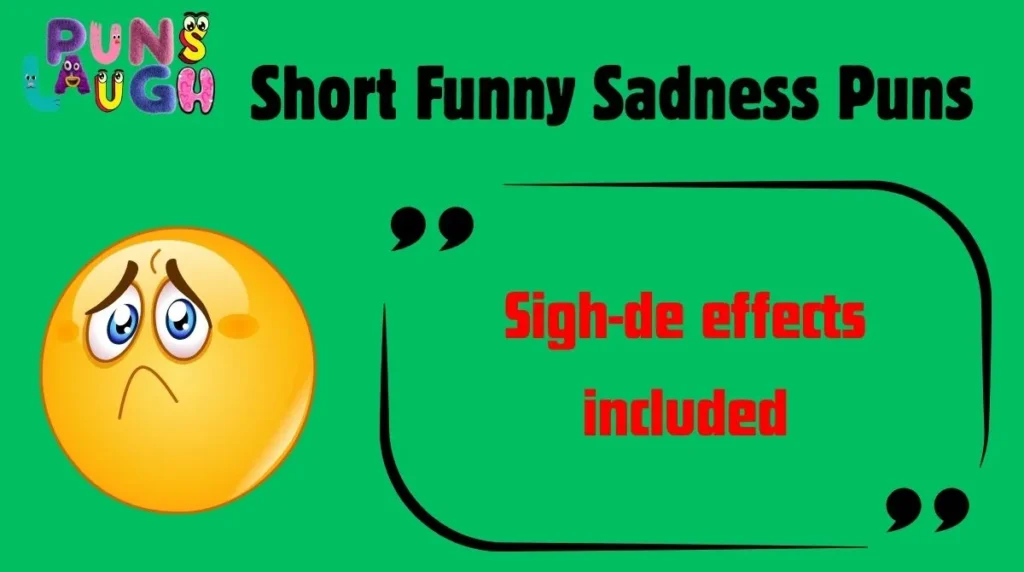 Short Funny Sadness Puns