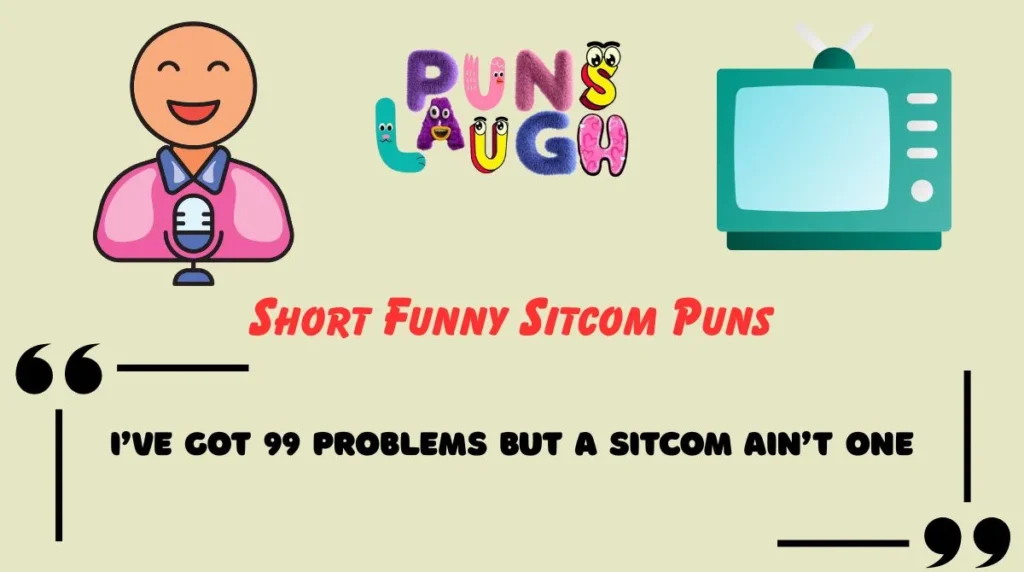 Short Funny Sitcom Puns