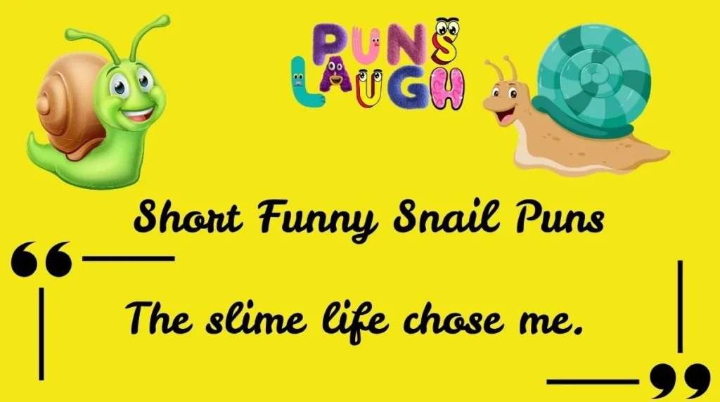 Short Funny Snail Puns