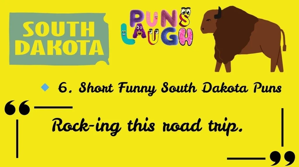 🔹 6. Short Funny South Dakota Puns