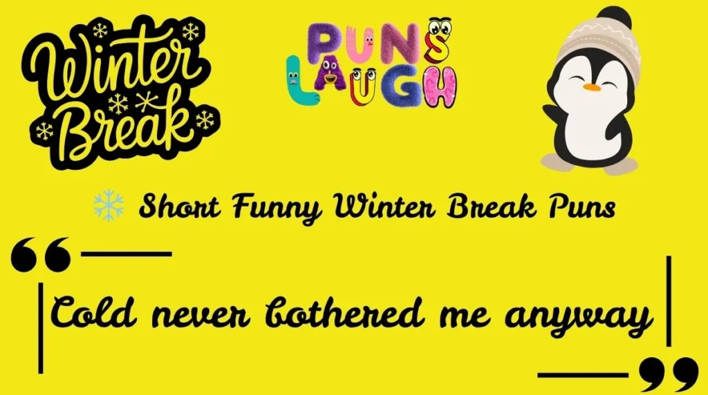  Short Funny Winter Break Puns