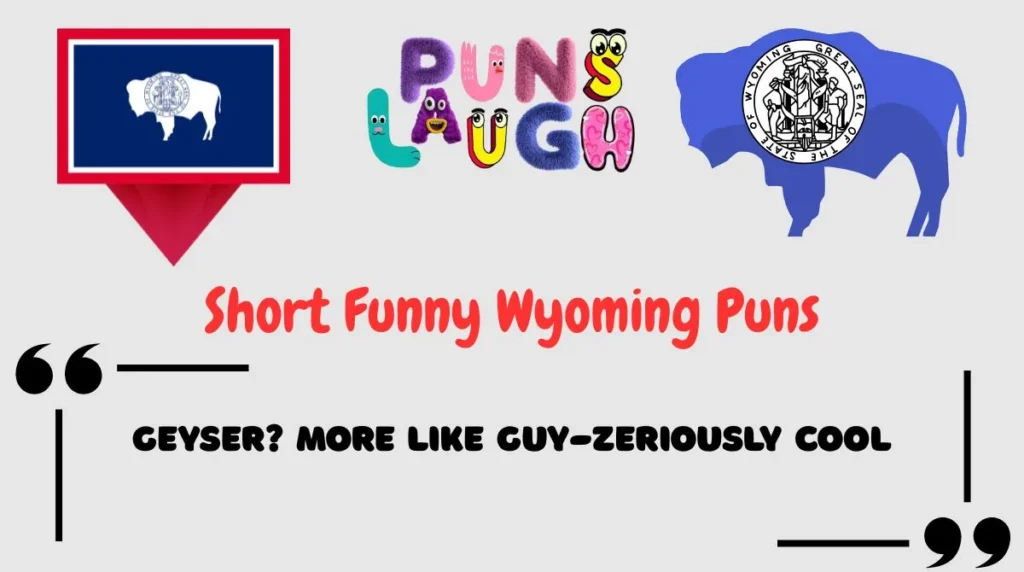 Short Funny Wyoming Puns