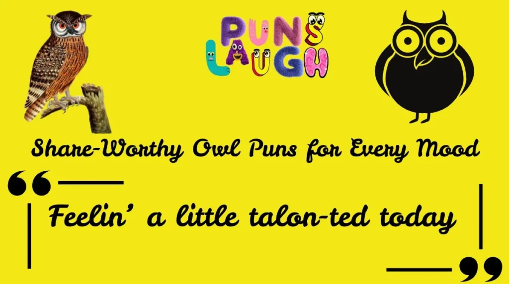 Silly & Sassy Owl Wordplay