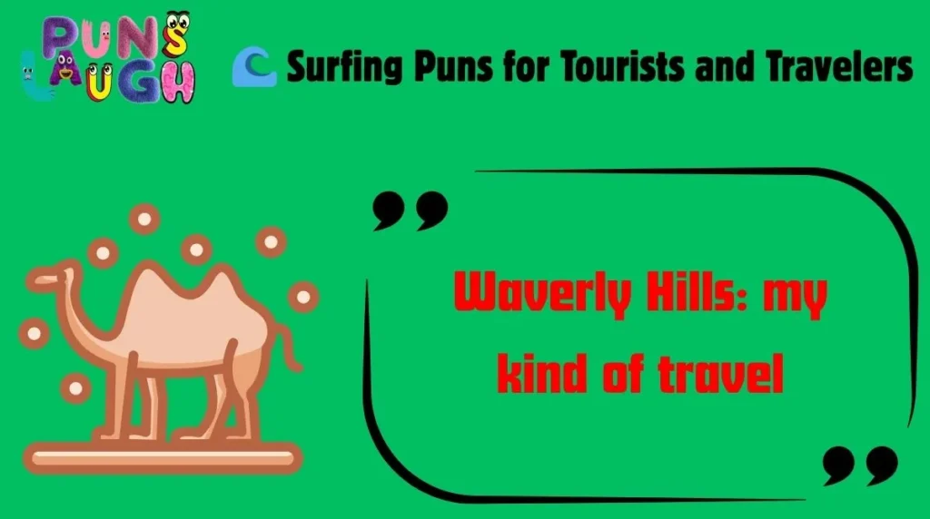 Surfing Puns for Tourists and Travelers
