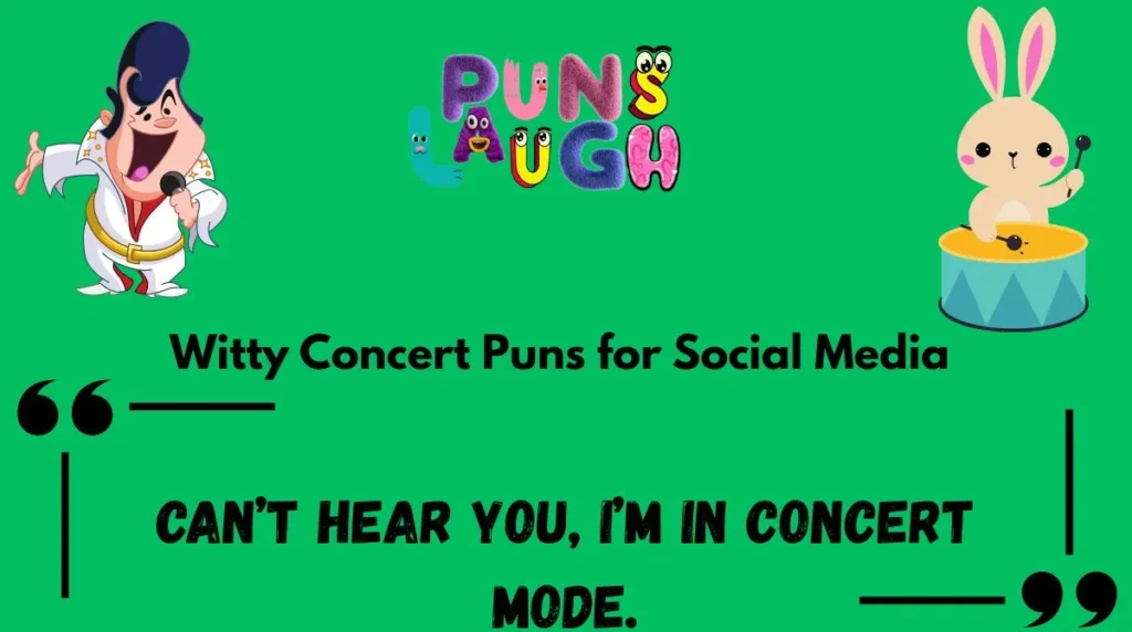  Witty Concert Puns for Social Media