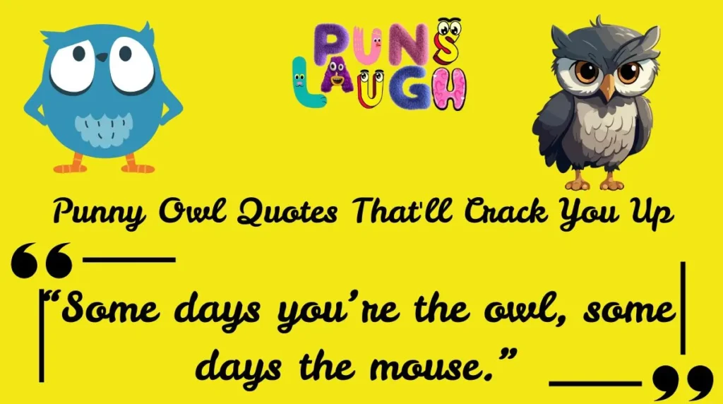 Witty Owl Puns for Social Media