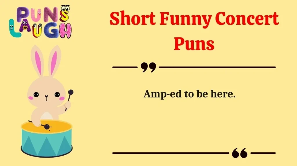 Short Funny Concert Puns