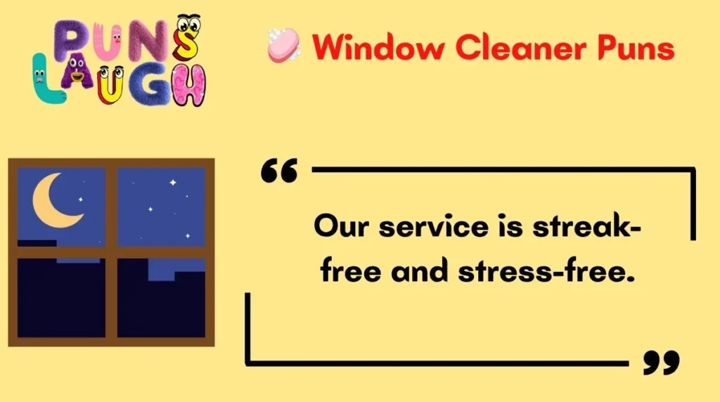  Window Cleaner Puns