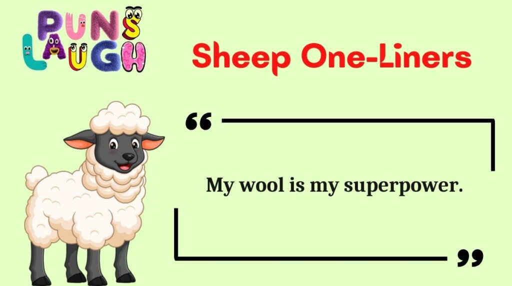 Sheep One-Liners