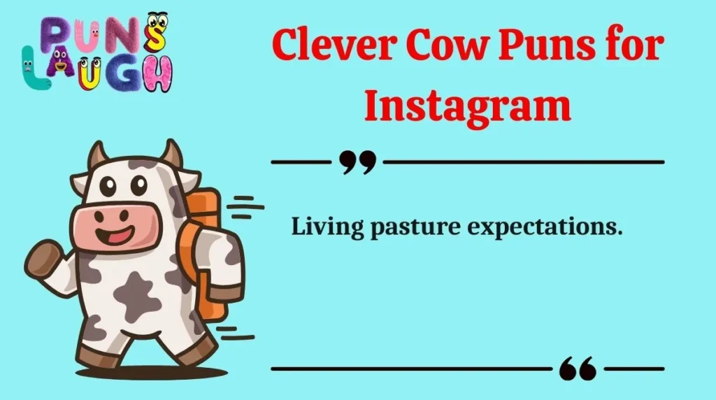 Clever Cow Puns for Instagram