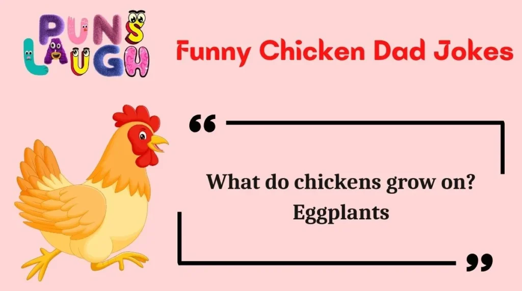  Funny Chicken Dad Jokes