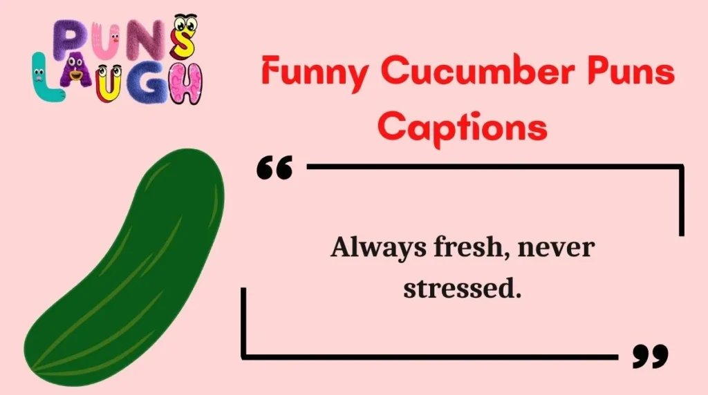 Funny Cucumber Puns Captions
